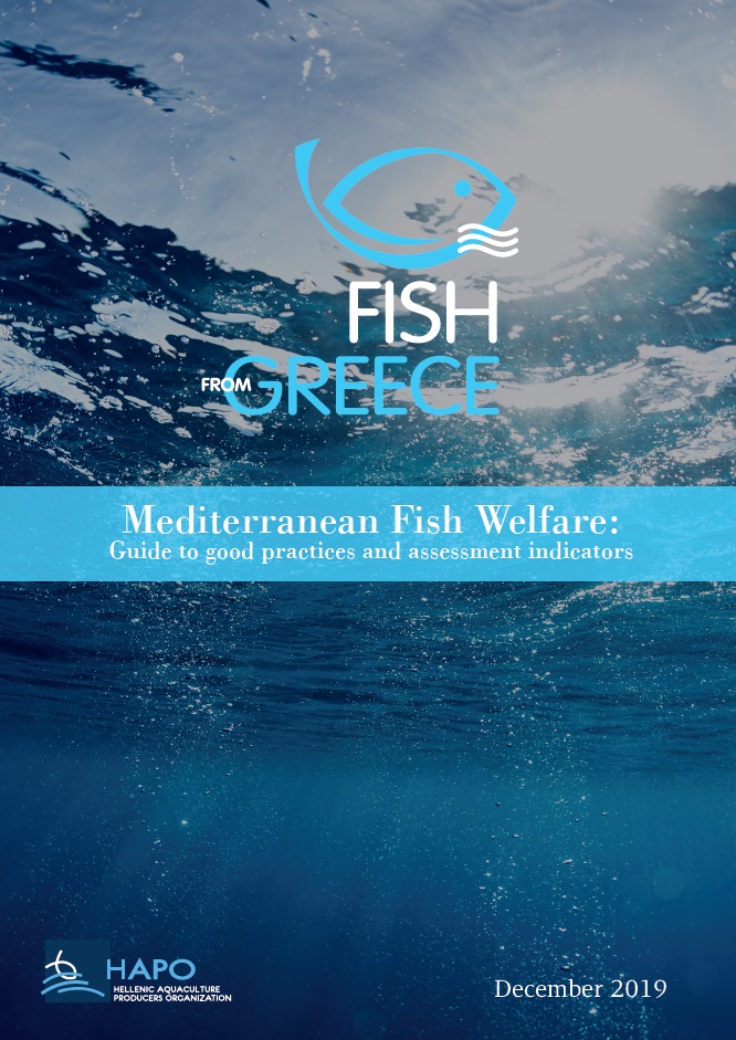 Mediterranean Fish Welfare